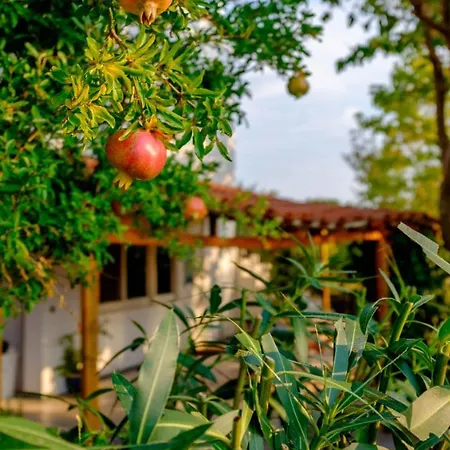 Vineyard Country House With Panoramic Seaview Alexandroupoli Exterior photo