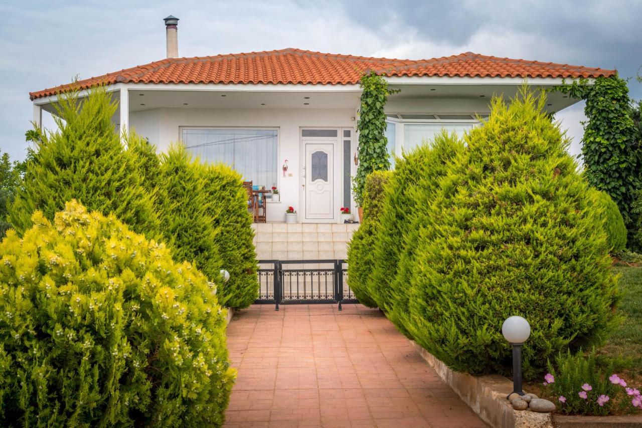 Vineyard With Panoramic Seaview Villa