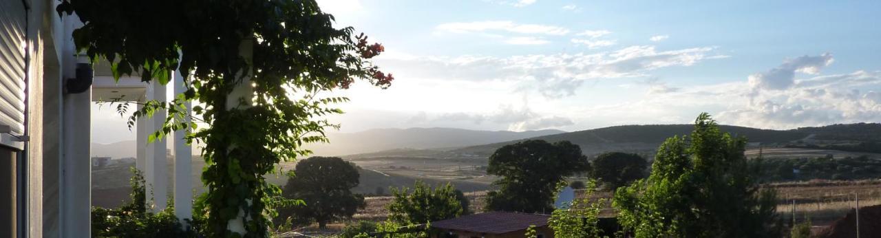 Vineyard With Panoramic Seaview *