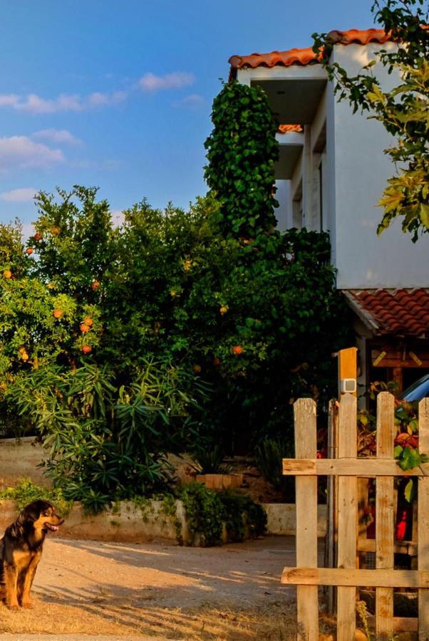 Villa Vineyard With Panoramic Seaview Alexandroupoli