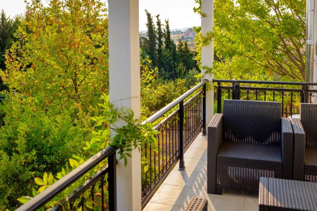Vineyard With Panoramic Seaview *