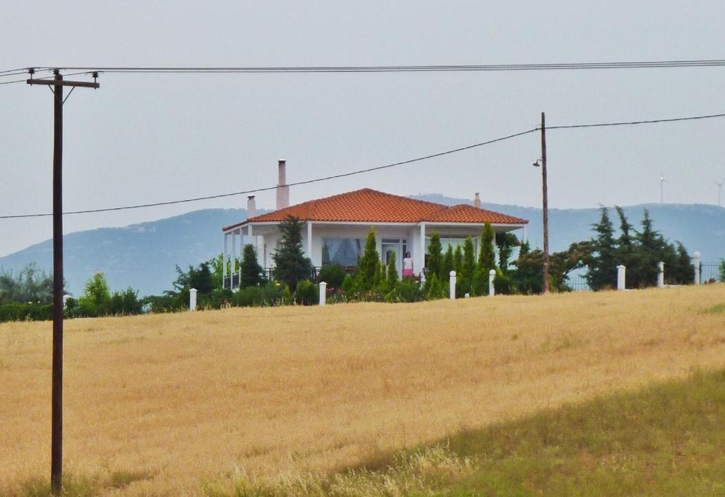 Vineyard With Panoramic Seaview * Alexandroupoli