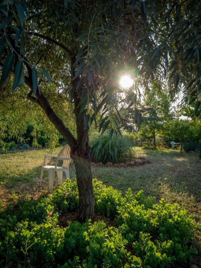 Villa Vineyard With Panoramic Seaview Alexandroupoli