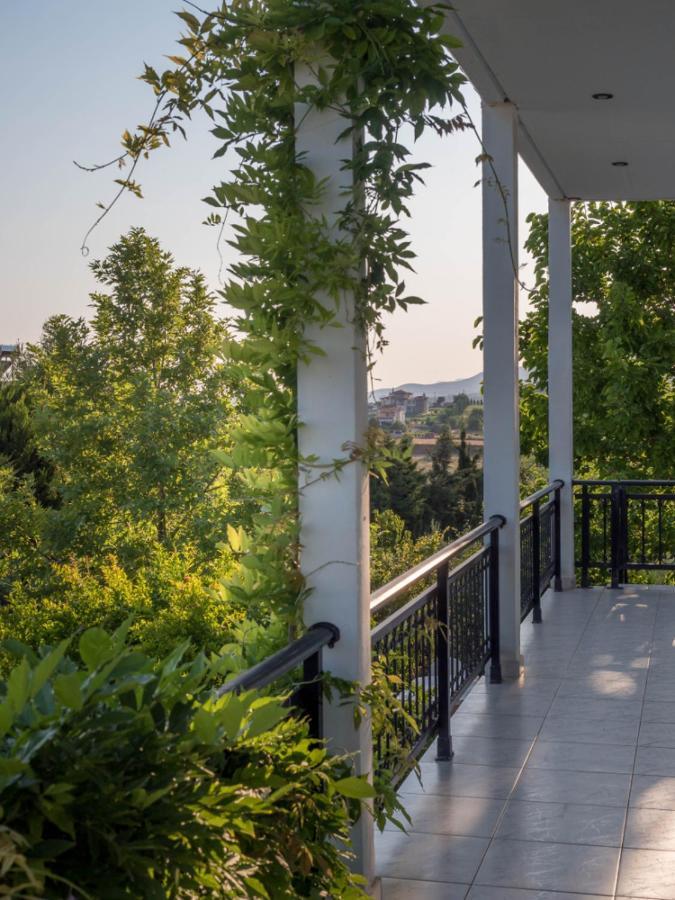 Vineyard With Panoramic Seaview Villa Alexandroupoli