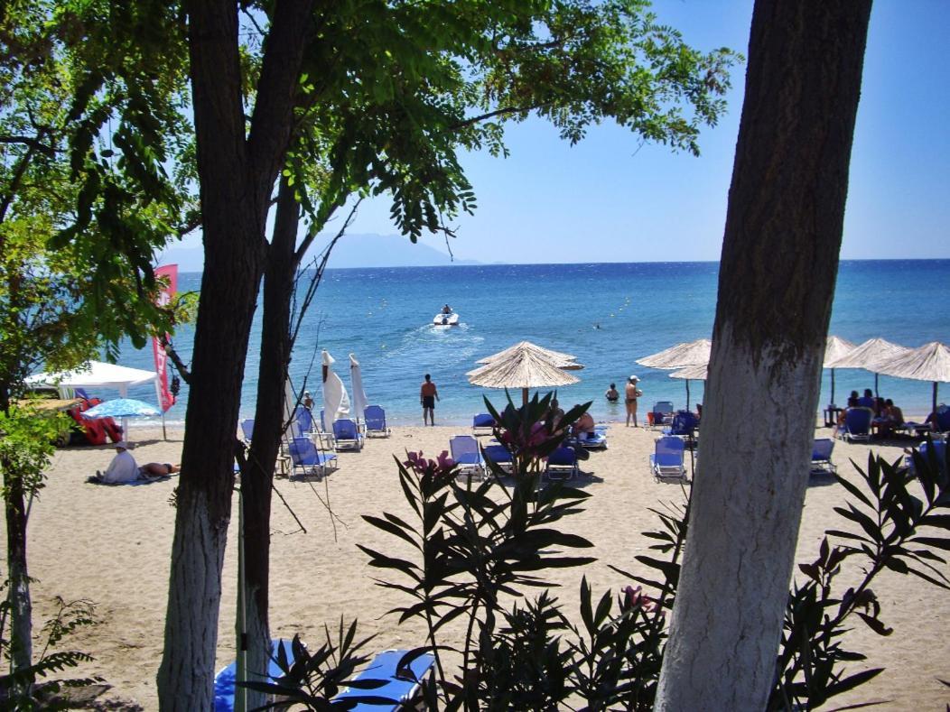 Vineyard With Panoramic Seaview * Alexandroupoli