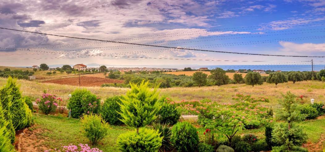 Vineyard With Panoramic Seaview * Alexandroupoli