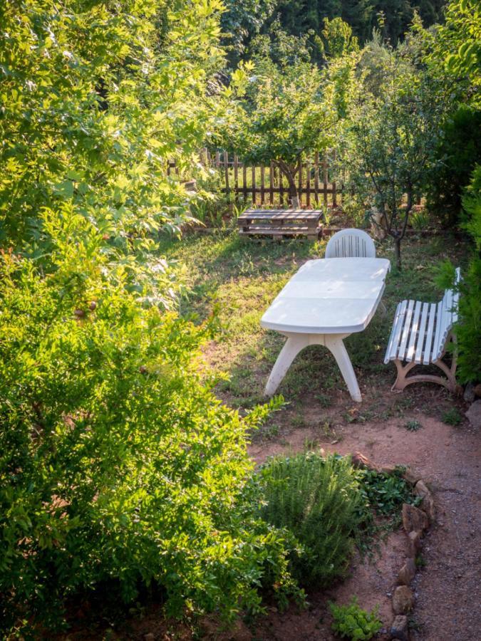 Villa Vineyard With Panoramic Seaview *