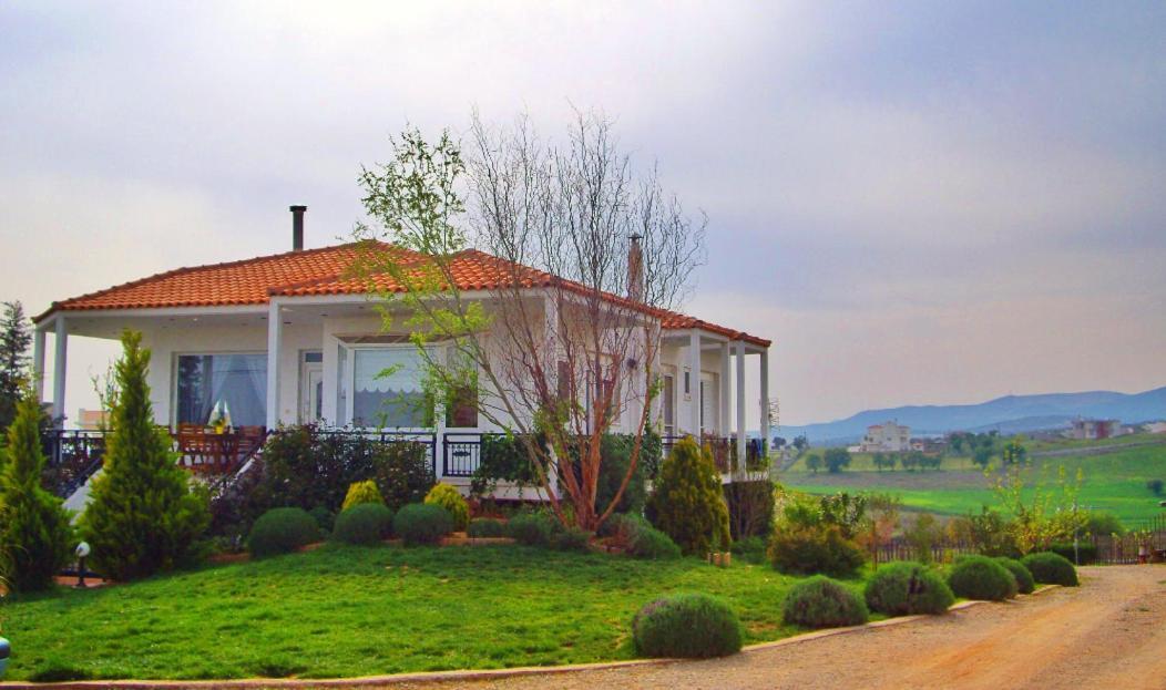 Vineyard With Panoramic Seaview Villa