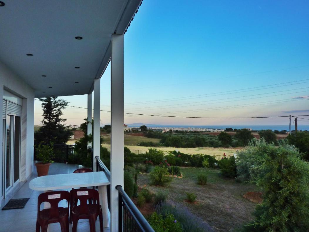 Vineyard With Panoramic Seaview Alexandroupoli